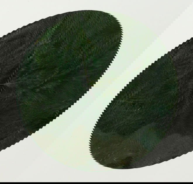 Decoratieveren Donker Groen - Kadopapier.net