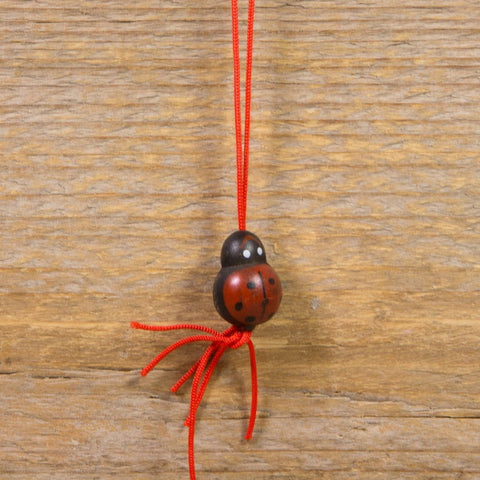 Gelukshanger Lieveheersbeestje - Kadopapier.net Gelukshanger Lieveheersbeestje - Kadopapier.net