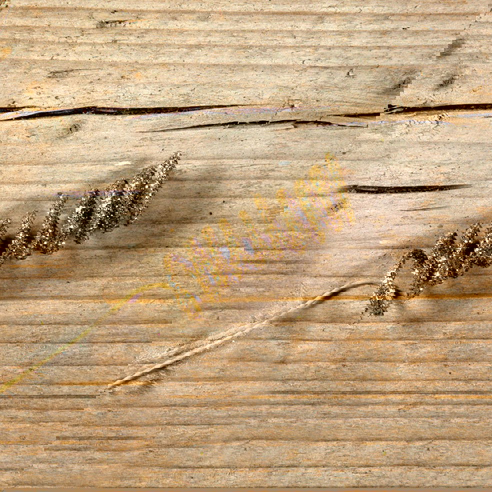 Kadodecoratie Curlpins Goud - Kadopapier.net