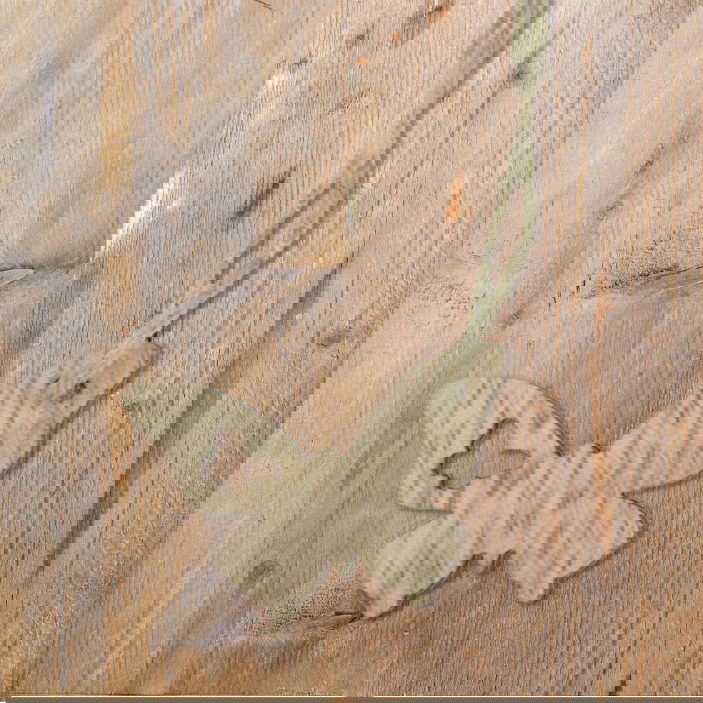 Kadohanger vlinder Naturel - Kadopapier.net