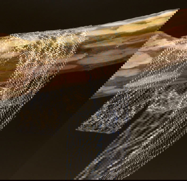 Weblint Zilver - Kadopapier.net