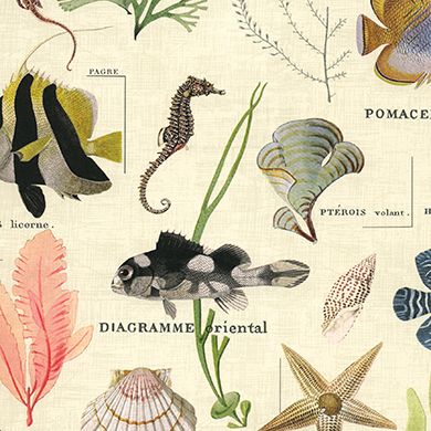 Marine Life Wrapping Paper – Underwater Adventure 