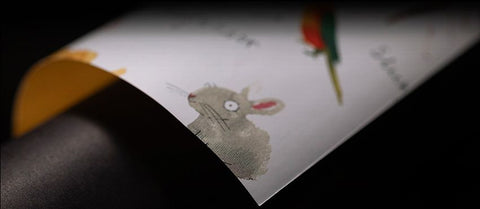 My Pets Inpakpapier – Schattige Huisdieren